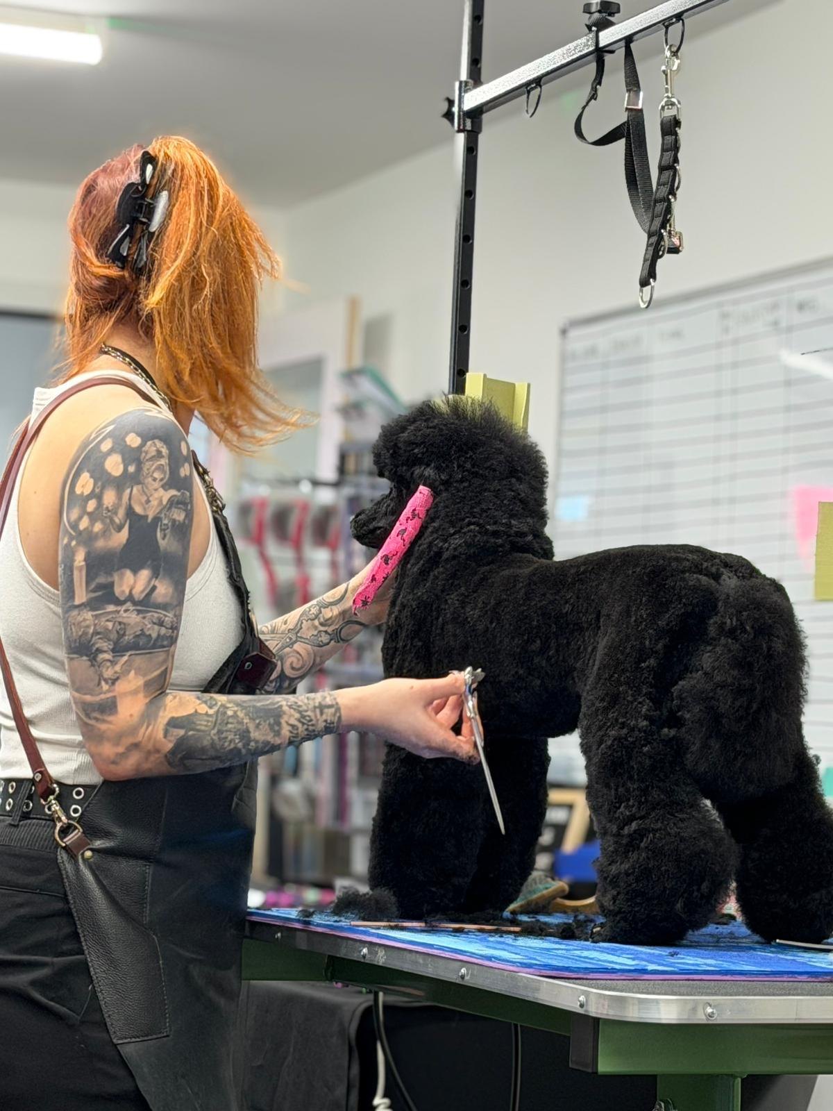 Two groomers working with a goldendoodle and a poodle in a bright UK grooming salon